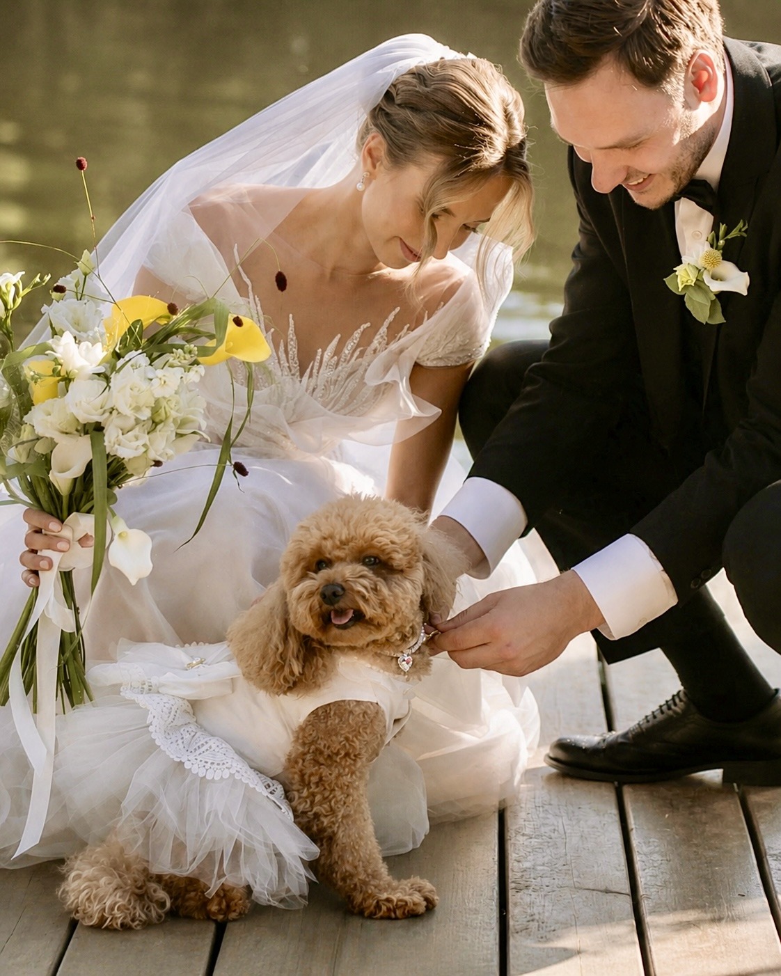 Intimate wedding moment - bride and groom with their dog, Riviera Maya
